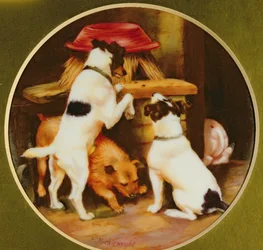 Les terriers curieux